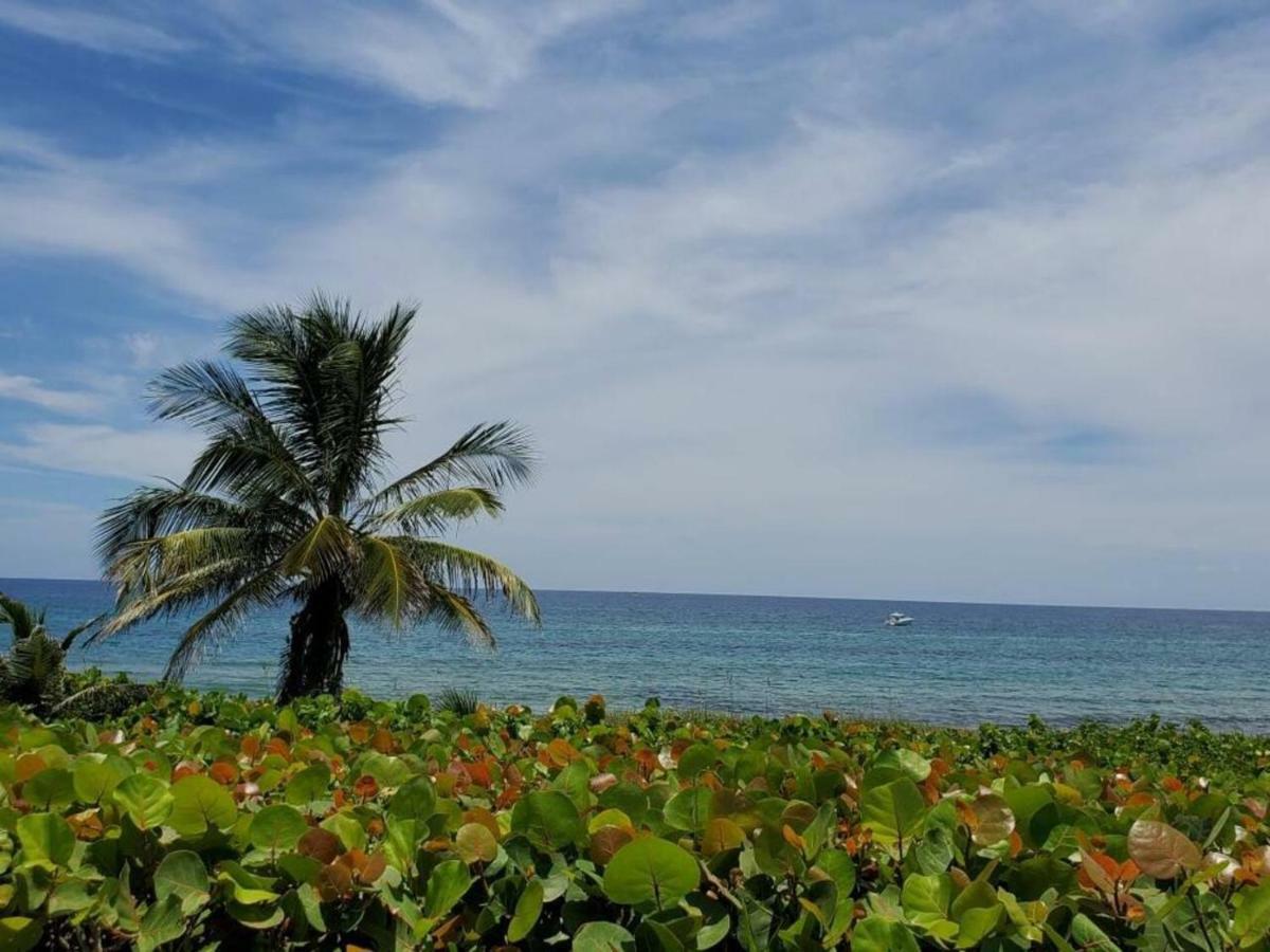 Beautiful Spacious And Luxury Delray Beach House! Near The Beach! Eksteriør billede